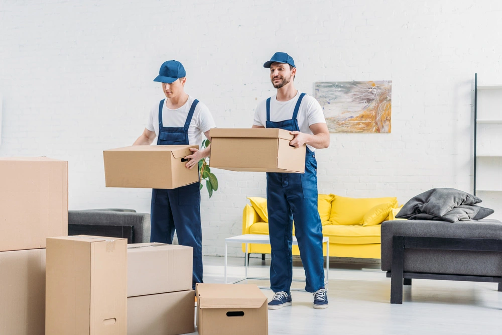 best moving company UK